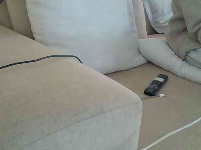 Dollie webcam