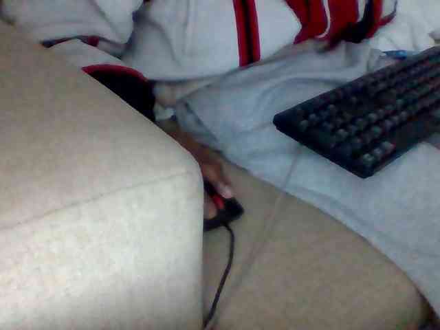 Dollie webcam