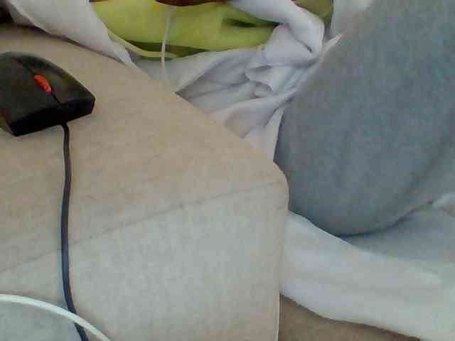 Dollie webcam