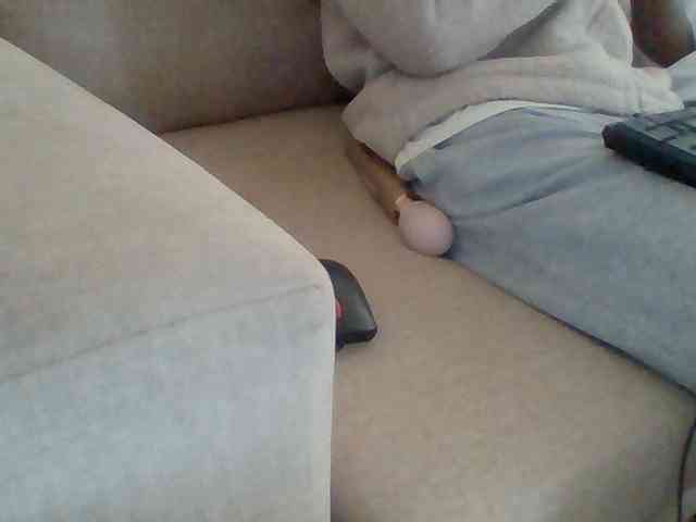 Dollie webcam