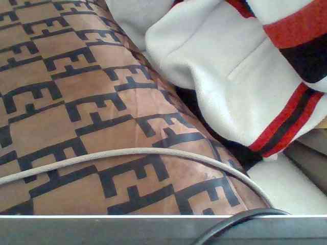 Dollie webcam