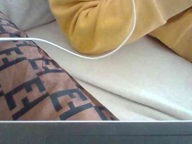 Dollie webcam