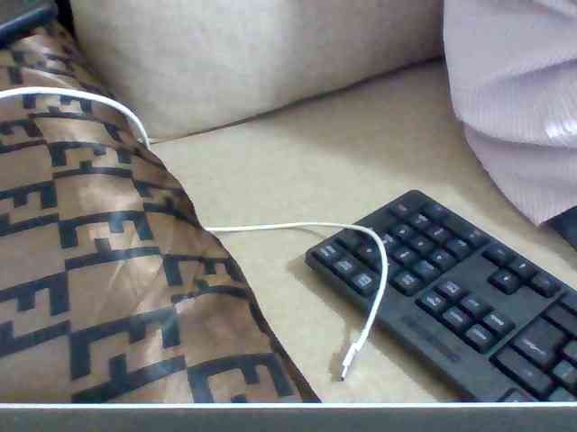Dollie webcam