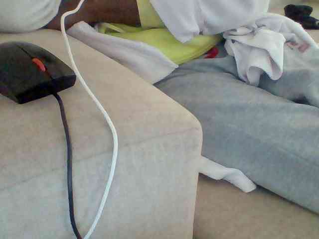 Dollie webcam