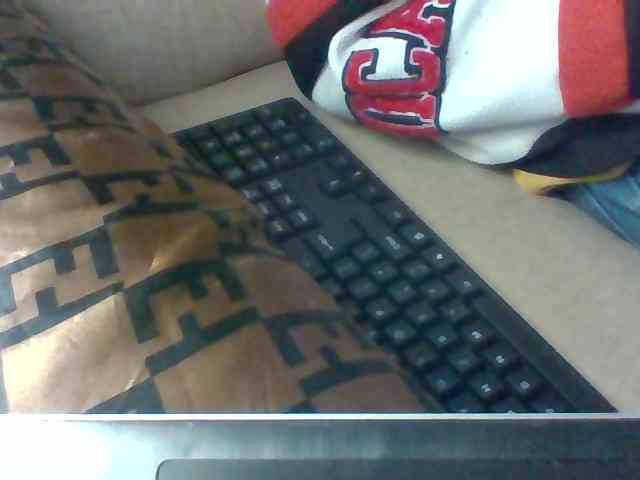 Dollie webcam