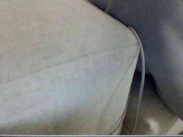 Dollie webcam
