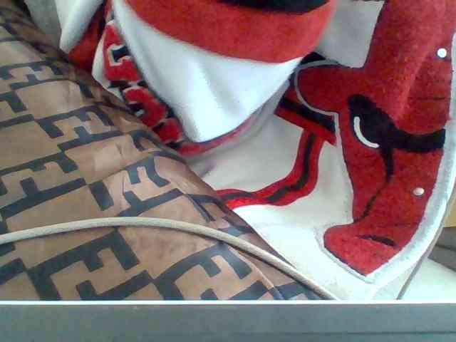 Dollie webcam