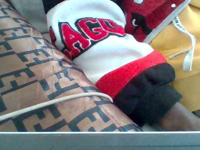 Dollie webcam