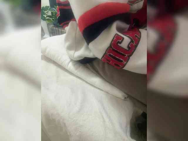 Dollie webcam