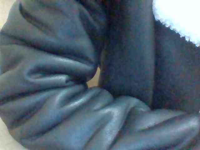 Dollie webcam