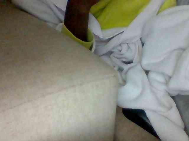 Dollie webcam