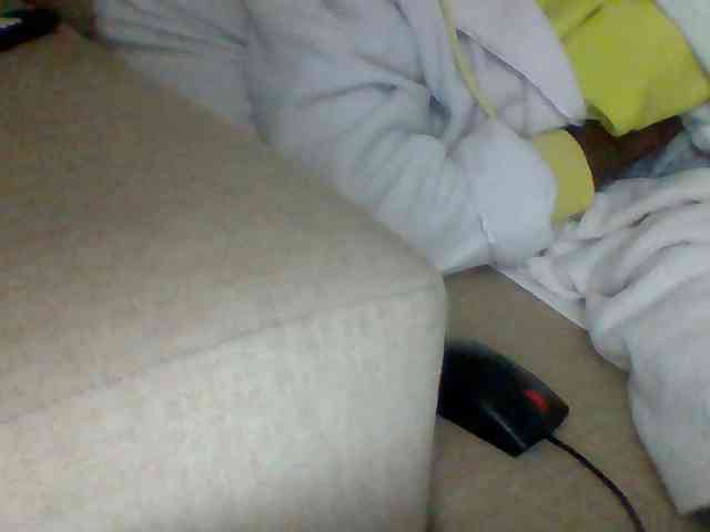Dollie webcam