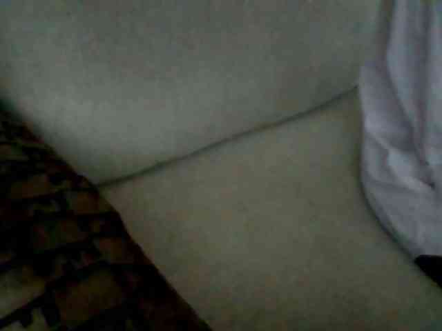 Dollie webcam