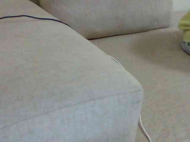 Dollie webcam
