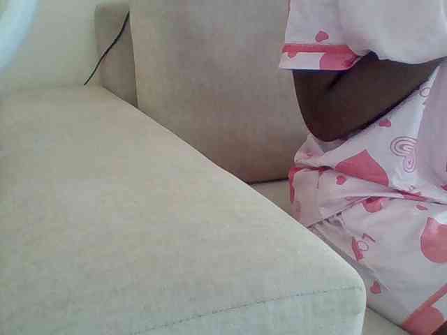 Dollie webcam