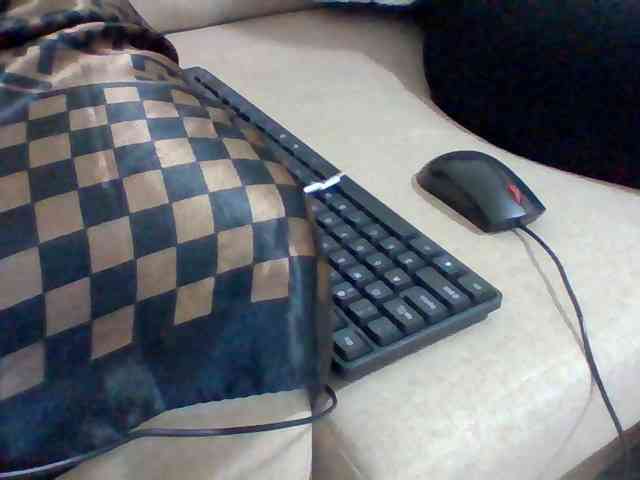 Dollie webcam