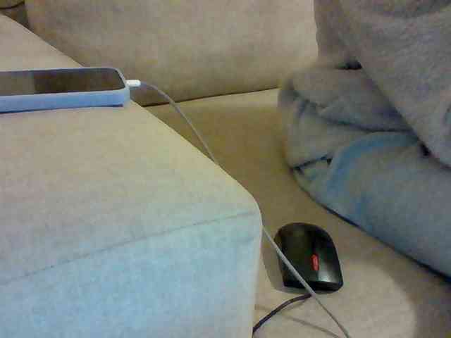 Dollie webcam