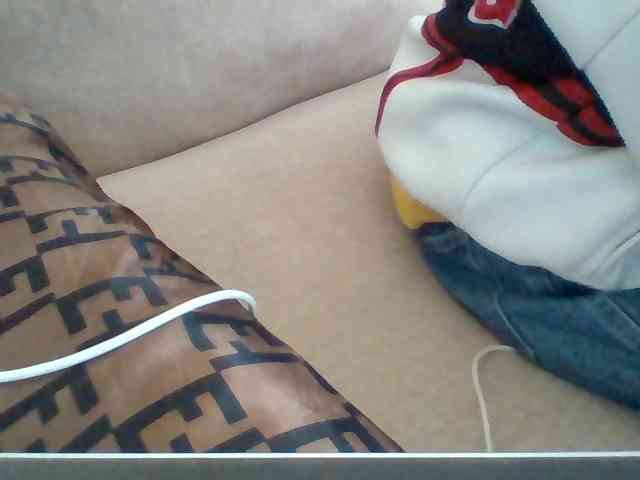 Dollie webcam