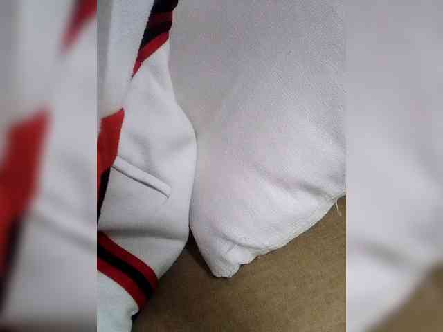 Dollie webcam
