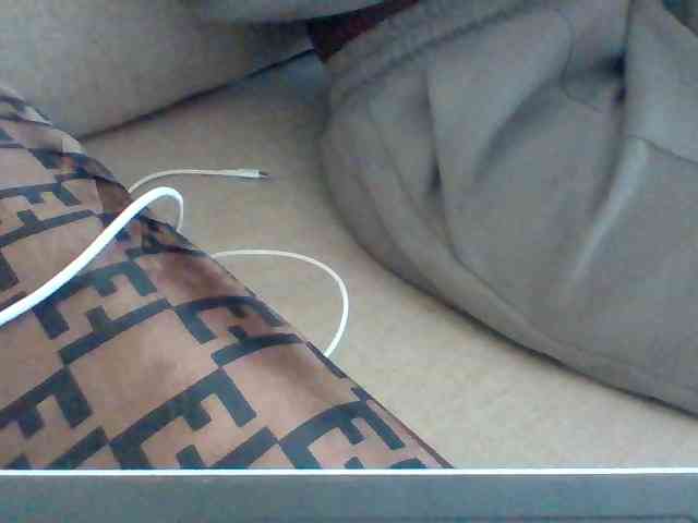 Dollie webcam