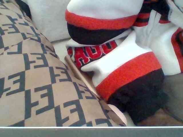 Dollie webcam