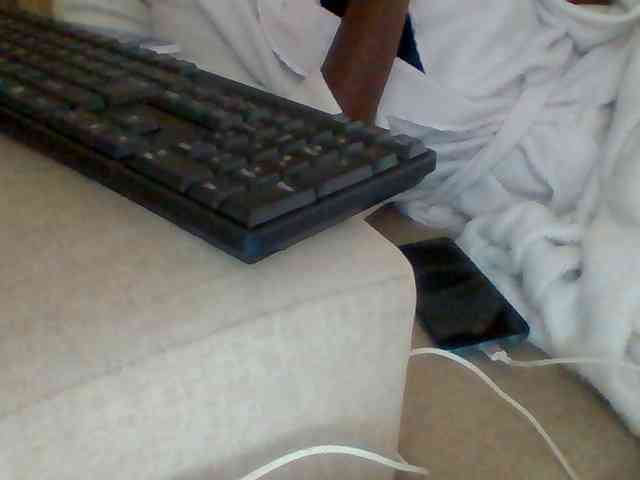 Dollie webcam