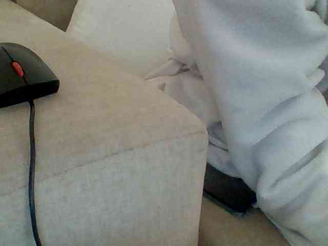 Dollie webcam