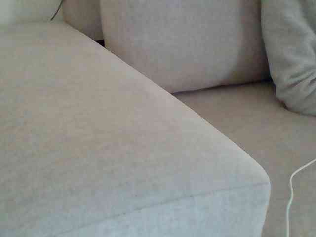Dollie webcam