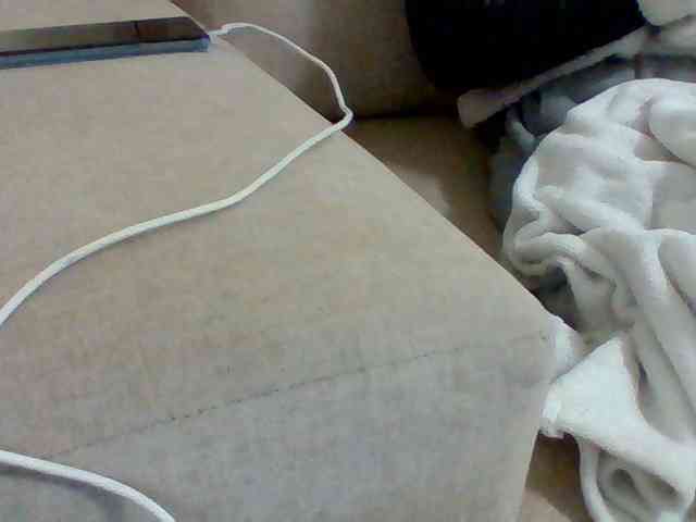 Dollie webcam