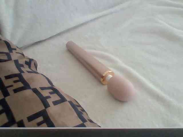 Dollie webcam