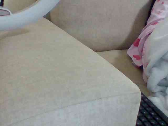 Dollie webcam