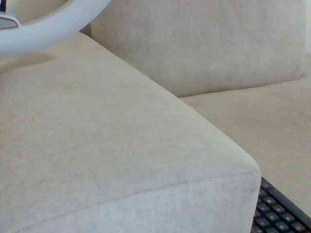 Dollie webcam