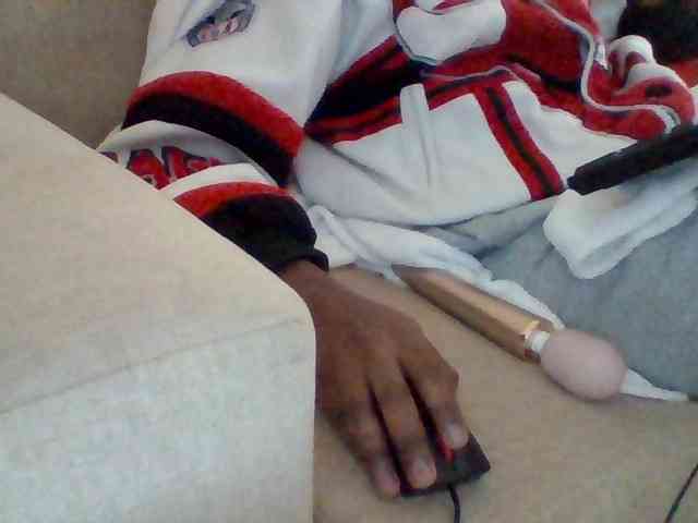 Dollie webcam