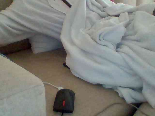 Dollie webcam