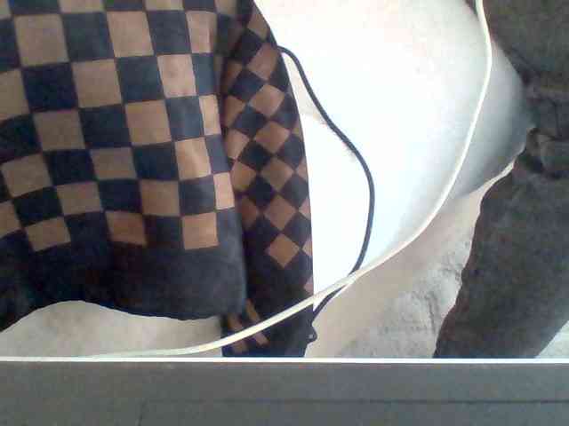 Dollie webcam