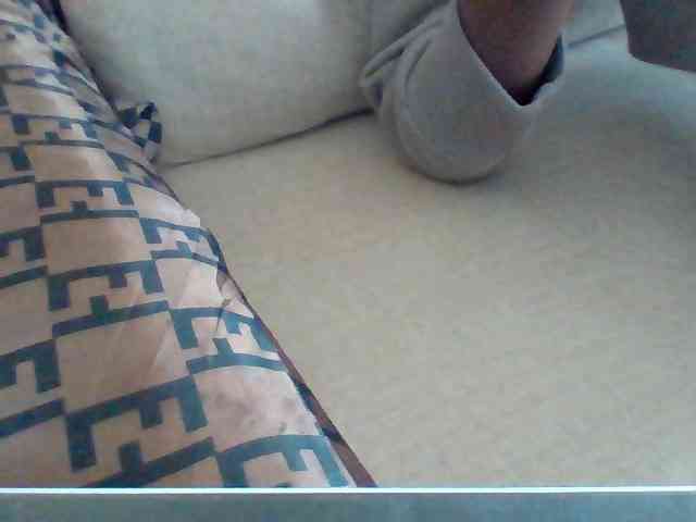 Dollie webcam