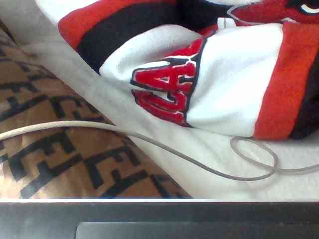 Dollie webcam