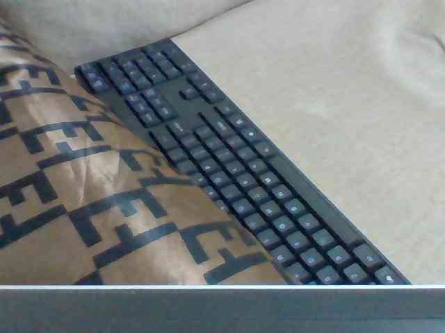 Dollie webcam