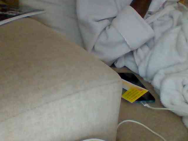 Dollie webcam