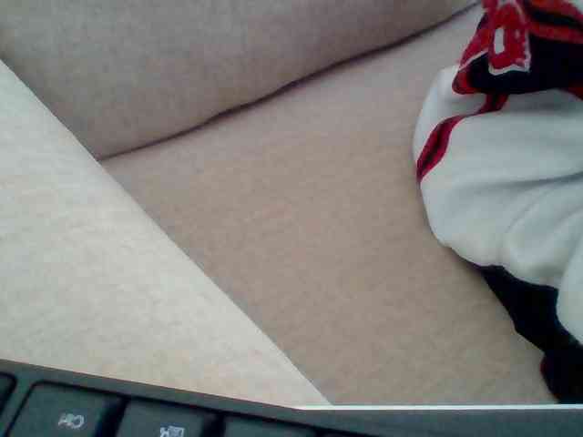 Dollie webcam