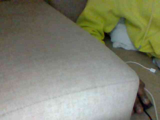 Dollie webcam