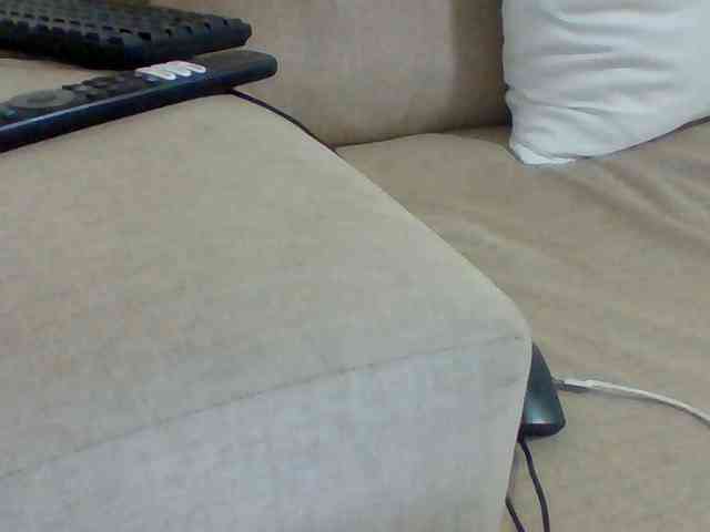Dollie webcam