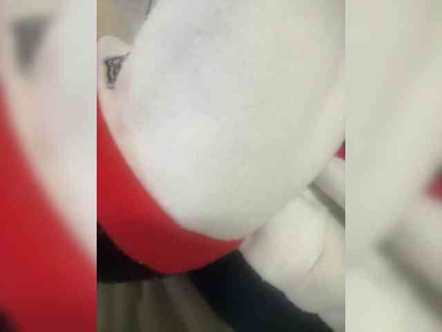 Dollie webcam
