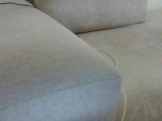 Dollie webcam
