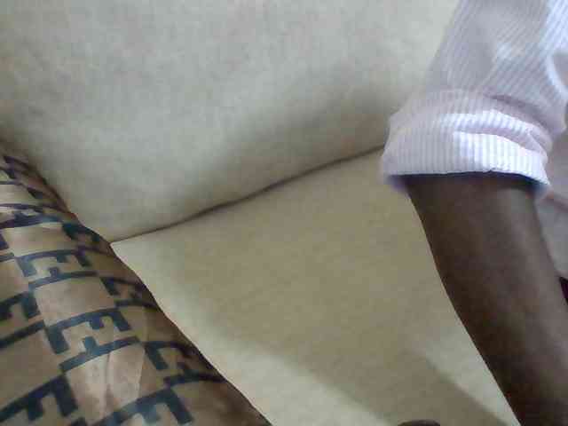 Dollie webcam