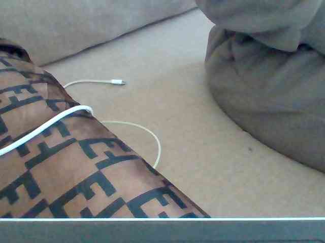 Dollie webcam