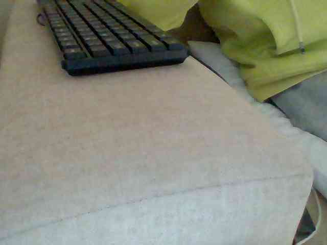 Dollie webcam