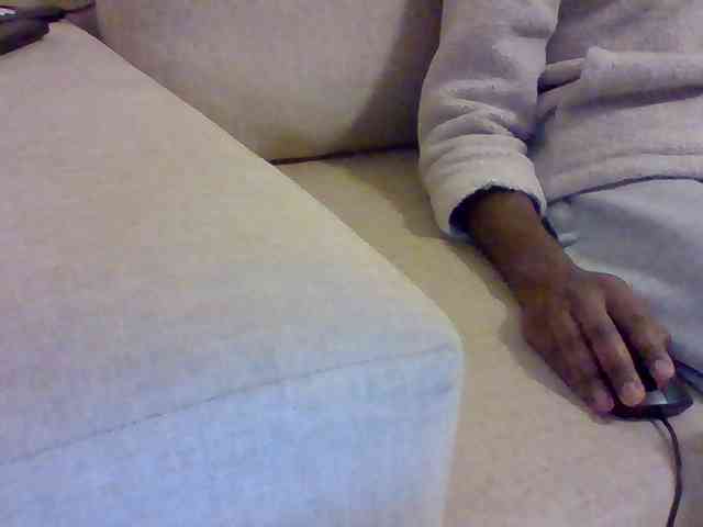 Dollie webcam