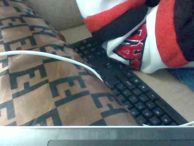 Dollie webcam
