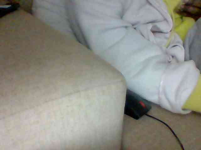 Dollie webcam